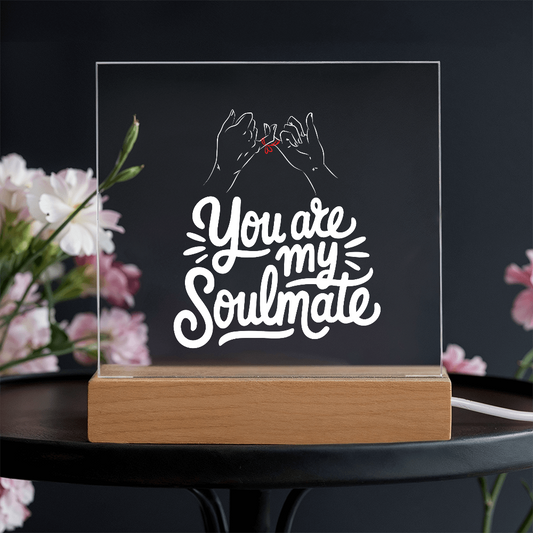 My Soulmate - LED Acrylic Plaque