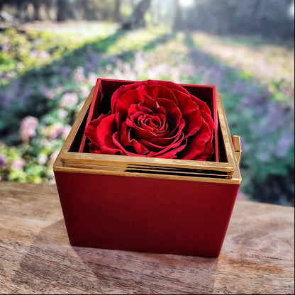 Gift For Mom - Perfect For All Occasions